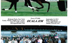 Tips To Investing In A Racehorse Partnership